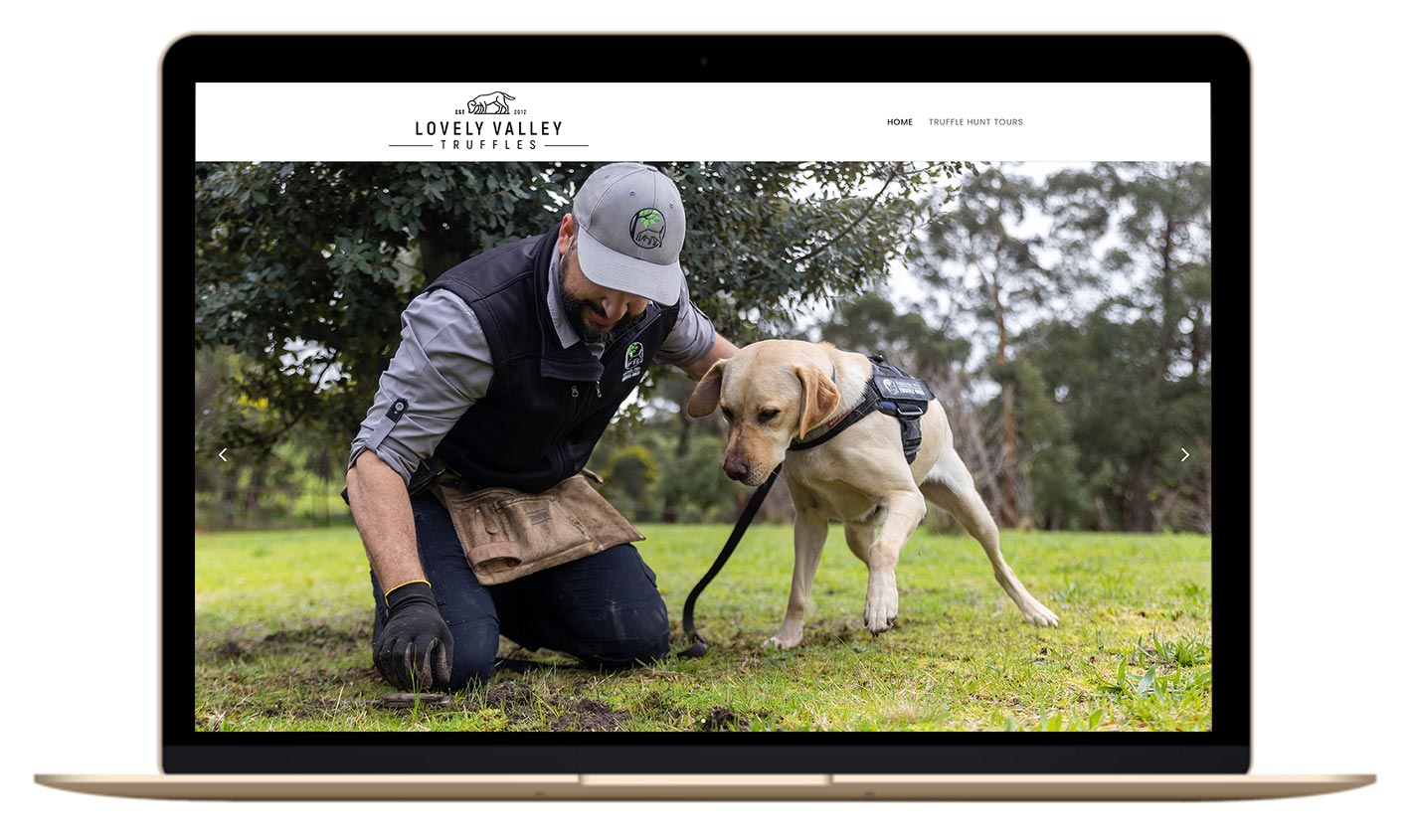 cairns best web designer