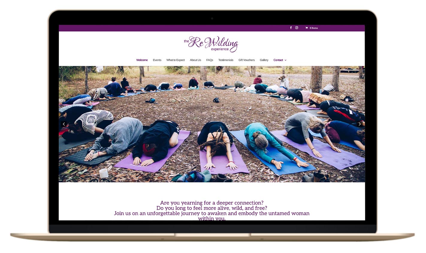 Web designer in cairns workshops